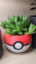 Pokemon Pokeball Plant Pot