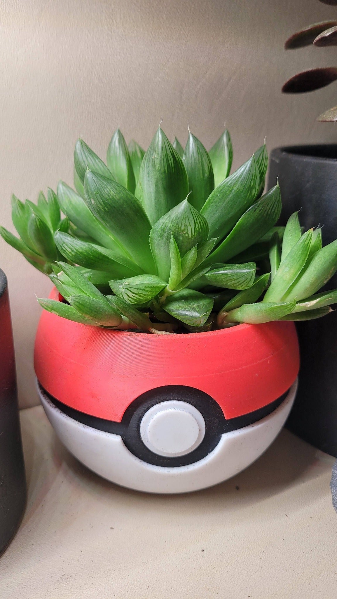 Pokemon Pokeball Plant Pot